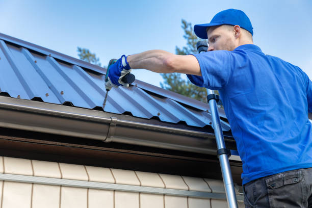 Best Solar Panel Roofing Installation  in Plattsburg, MO