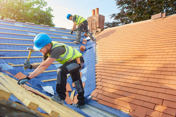 Best Chimney Flashing Repair  in Plattsburg, MO